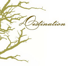 DESTINATION logo