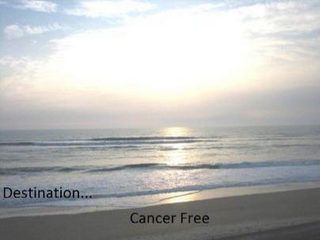 DESTINATION... CANCER FREE logo