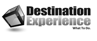 DESTINATION EXPERIENCE WHAT TO DO. logo