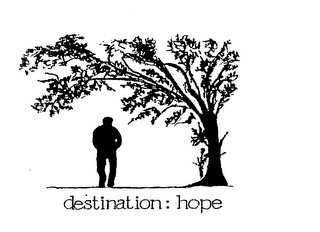 DESTINATION: HOPE logo