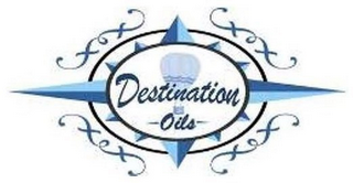 DESTINATION OILS logo
