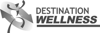 DESTINATION WELLNESS logo