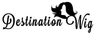 DESTINATION WIG logo
