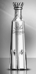DESTINO TEQUILA logo