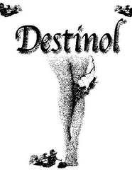 DESTINOL logo