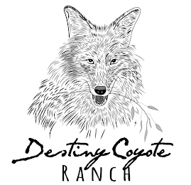 DESTINY COYOTE RANCH logo