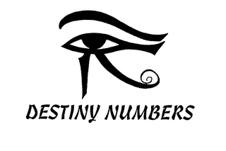 DESTINY NUMBERS logo