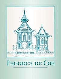 D'ESTOURNEL PAGODES DE COS logo