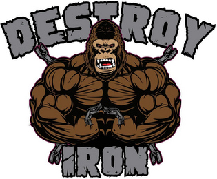 DESTROY IRON logo