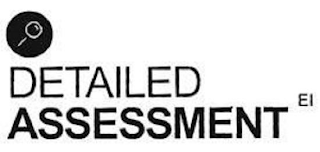 DETAILED ASSESSMENT EI logo