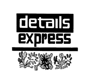 DETAILS EXPRESS logo