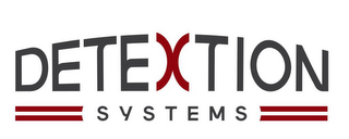 DETEXTION SYSTEMS logo