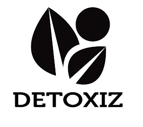 DETOXIZ logo
