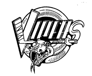 DETROIT VIPERS