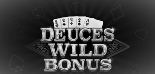 DEUCES WILD BONUS logo