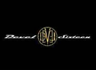 DEVEL DEVEL SIXTEEN logo