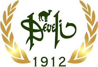 DEVELI 1912 logo