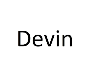 DEVIN logo