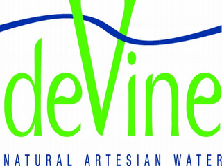 DEVINE NATURAL ARTESIAN WATER logo