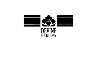 DEVINE SOLUTIONS logo