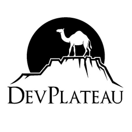 DEVPLATEAU logo
