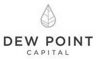 DEW POINT CAPITAL logo