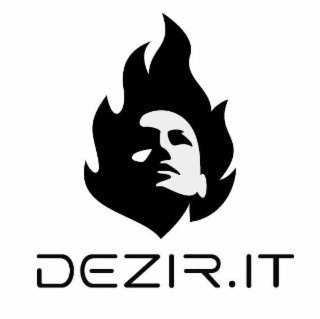 DEZIR.IT logo