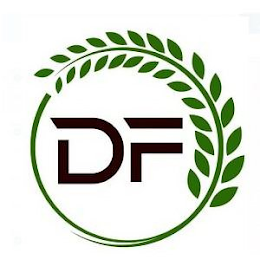 DF logo