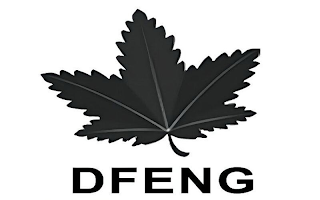 DFENG logo
