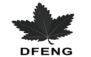 DFENG logo