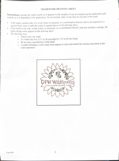 DFW WILDFLOWERS FOR THE COWGIRL WHO CARRIES IT ALL IN STYLE logo