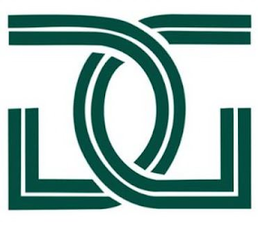 DG logo