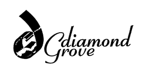 DG DIAMOND GROVE logo