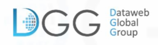 DGG DATAWEB GLOBAL GROUP logo