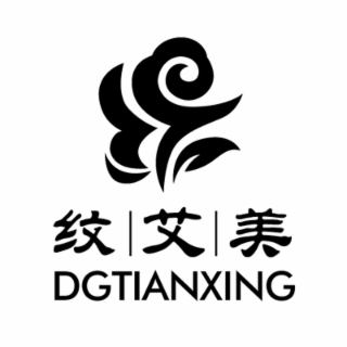 DGTIANXING logo