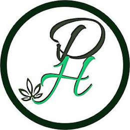 DH logo