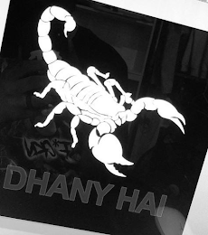 DHANY HAI logo