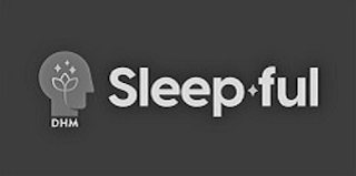 DHM SLEEP FUL logo