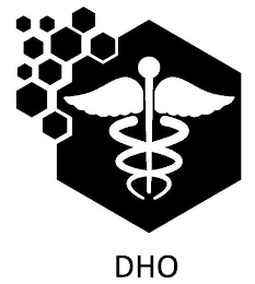 DHO logo