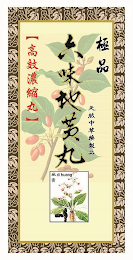 DI HUANG logo