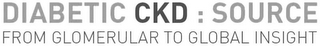DIABETIC CKD : SOURCE FROM GLOMERULAR TO GLOBAL INSIGHT logo