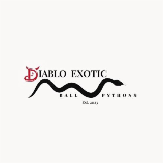 DIABLO EXOTIC BALL PYTHONS EST. 2023 logo