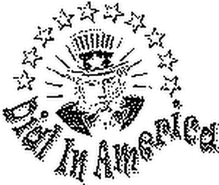 DIAL IN AMERICA logo