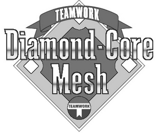 DIAMOND-CORE MESH logo