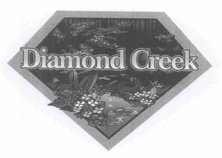 DIAMOND CREEK logo