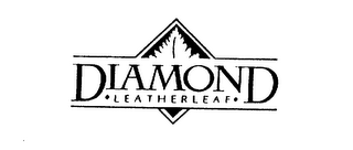 DIAMOND LEATHERLEAF logo