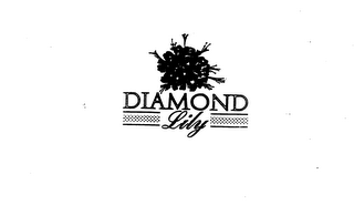 DIAMOND LILY logo