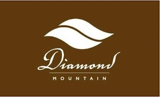 DIAMOND MOUNTAIN logo