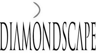 DIAMONDSCAPE logo