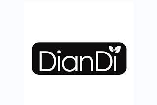 DIANDI logo